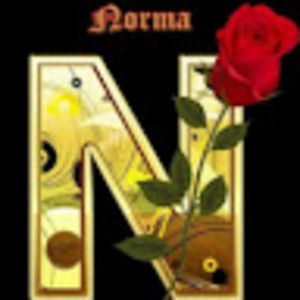 Meet your Posher, Norma